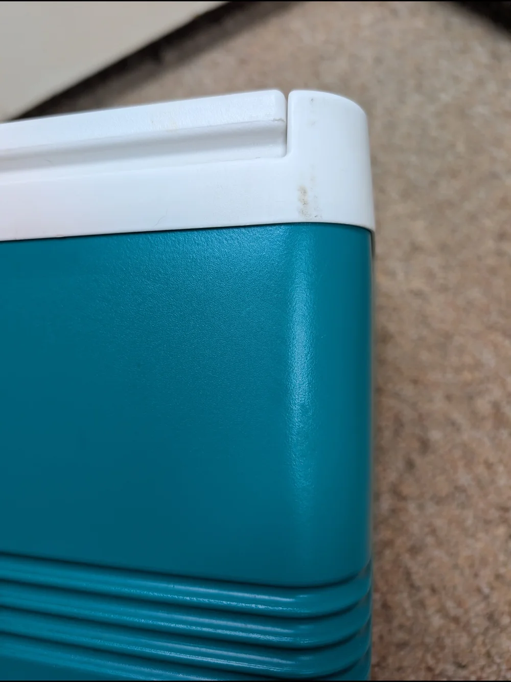 Vintage 90s Igloo Legend 12 Can Cooler With Teal Body & Purple Handle